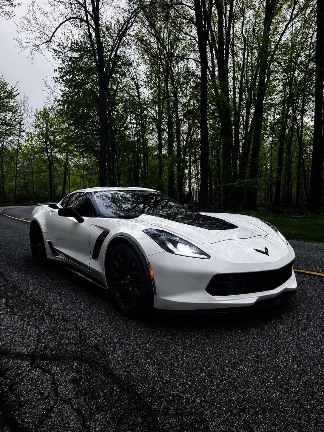 Chevrolet Corvette Z06 in a gloss white color change wrap on a wooded road